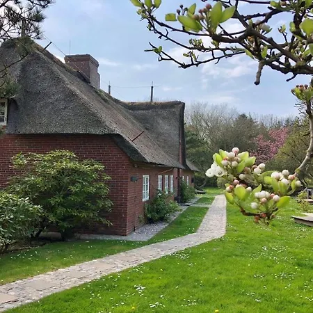 Daire Friesenhof Suedern Ole *